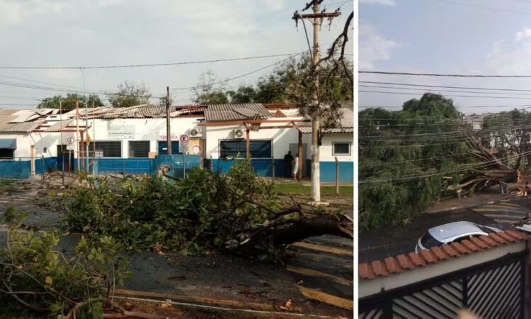 Temporal campinas