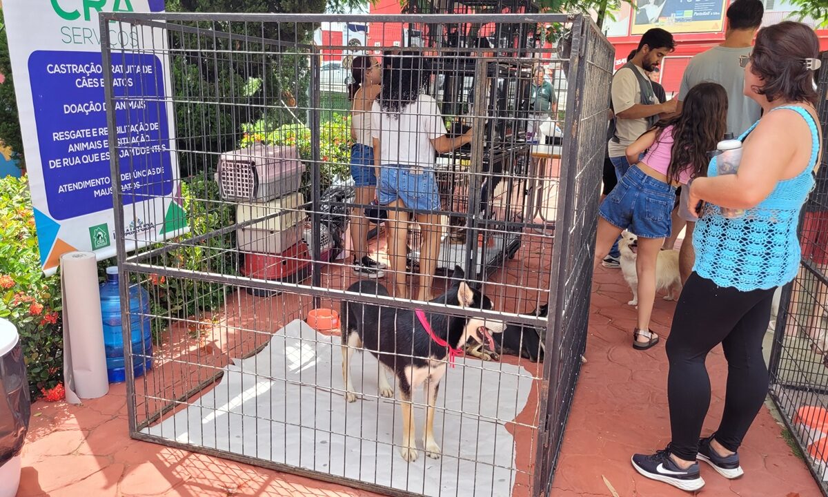 Feira adocao cras