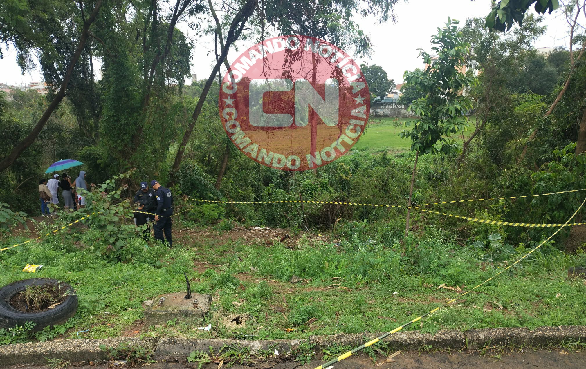 CaminhÃo cai em ribanceira parque floresta 1