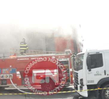 Fogo mercado 5