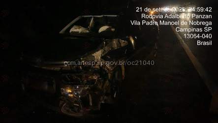 Garupa morre em rodovia de campinas 1