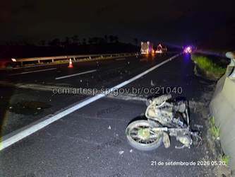 Garupa morre em rodovia de campinas