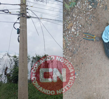 Ladroes do campo belo furto fios
