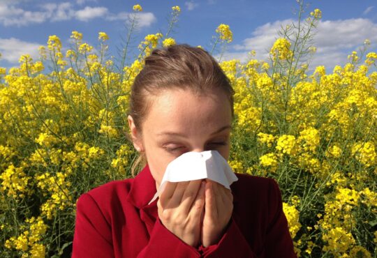 Cenczi allergy 1738191 1920