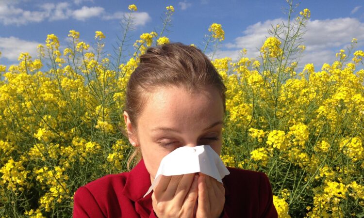 Cenczi allergy 1738191 1920