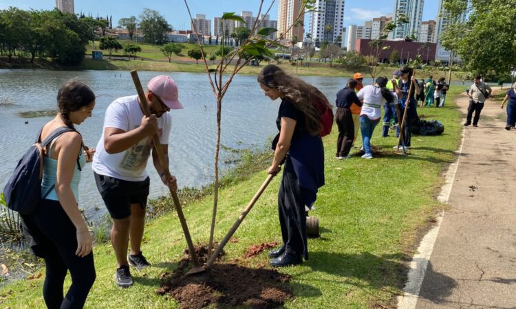Plantio dia arvore rodrigo gatti]