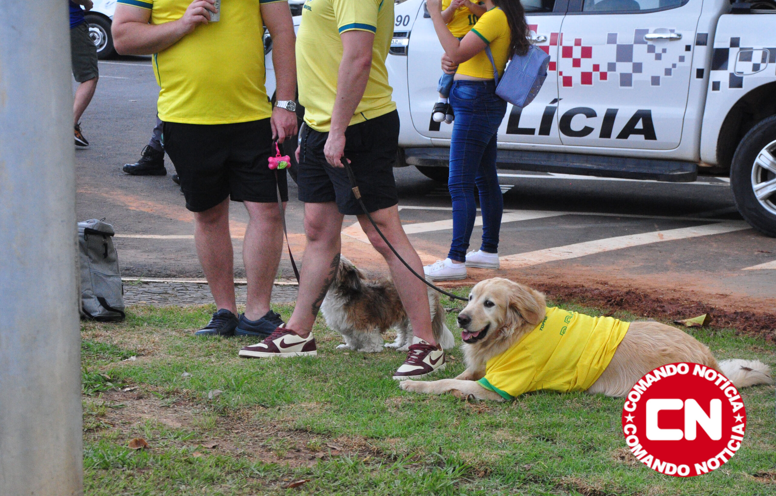 CÃo camisa brasil