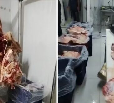 Carne mal conservada aÇougue indaiatuba deic