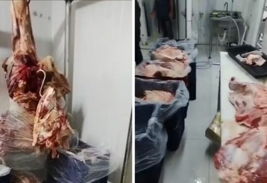 Carne mal conservada aÇougue indaiatuba deic