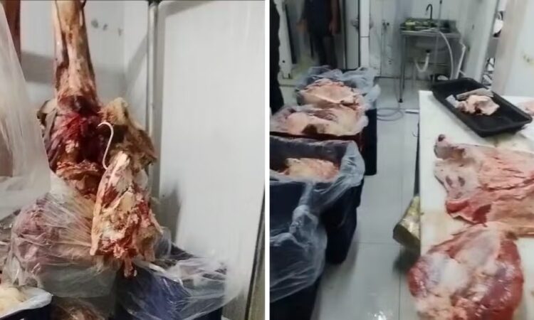 Carne mal conservada aÇougue indaiatuba deic