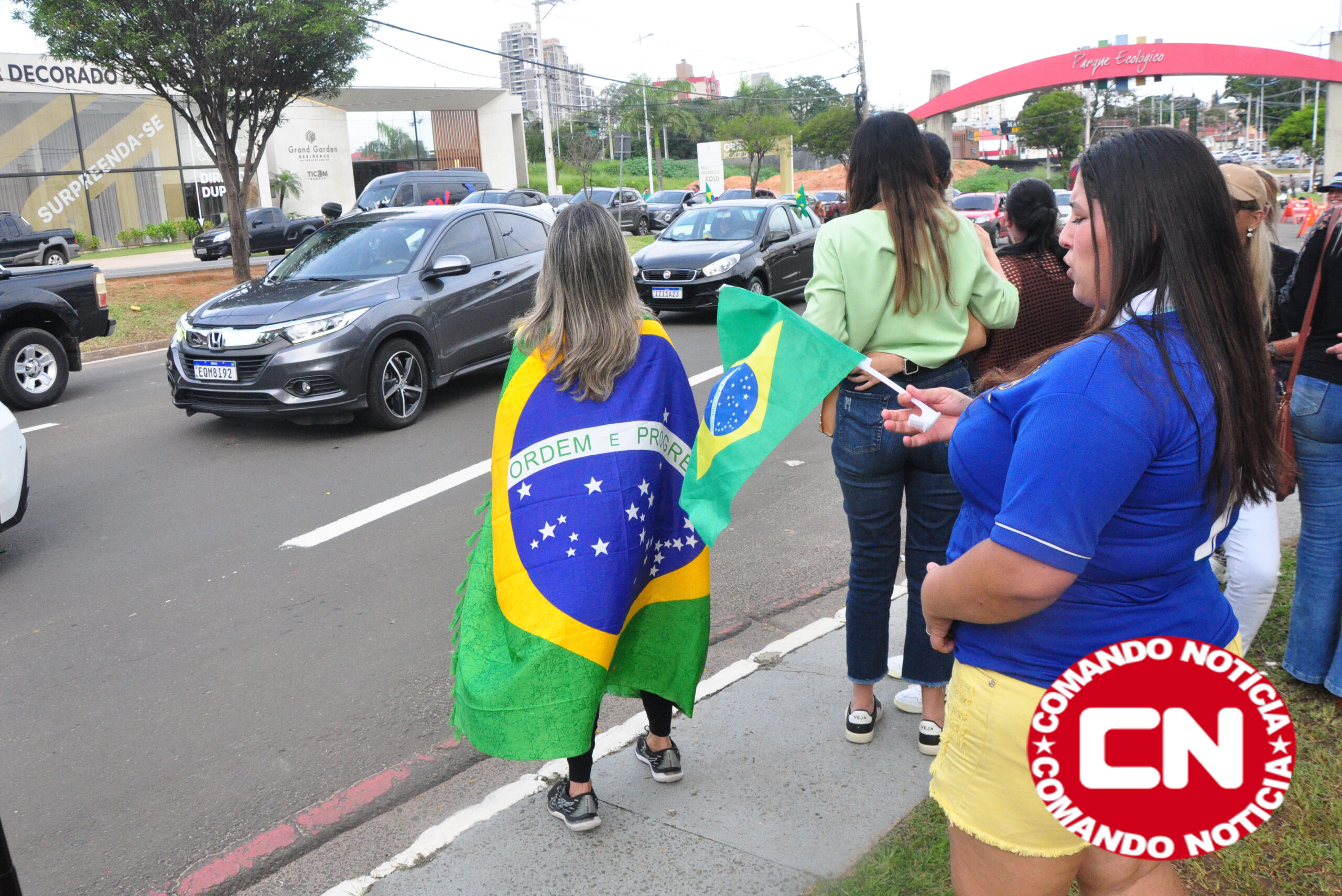 Carreata flavio 0