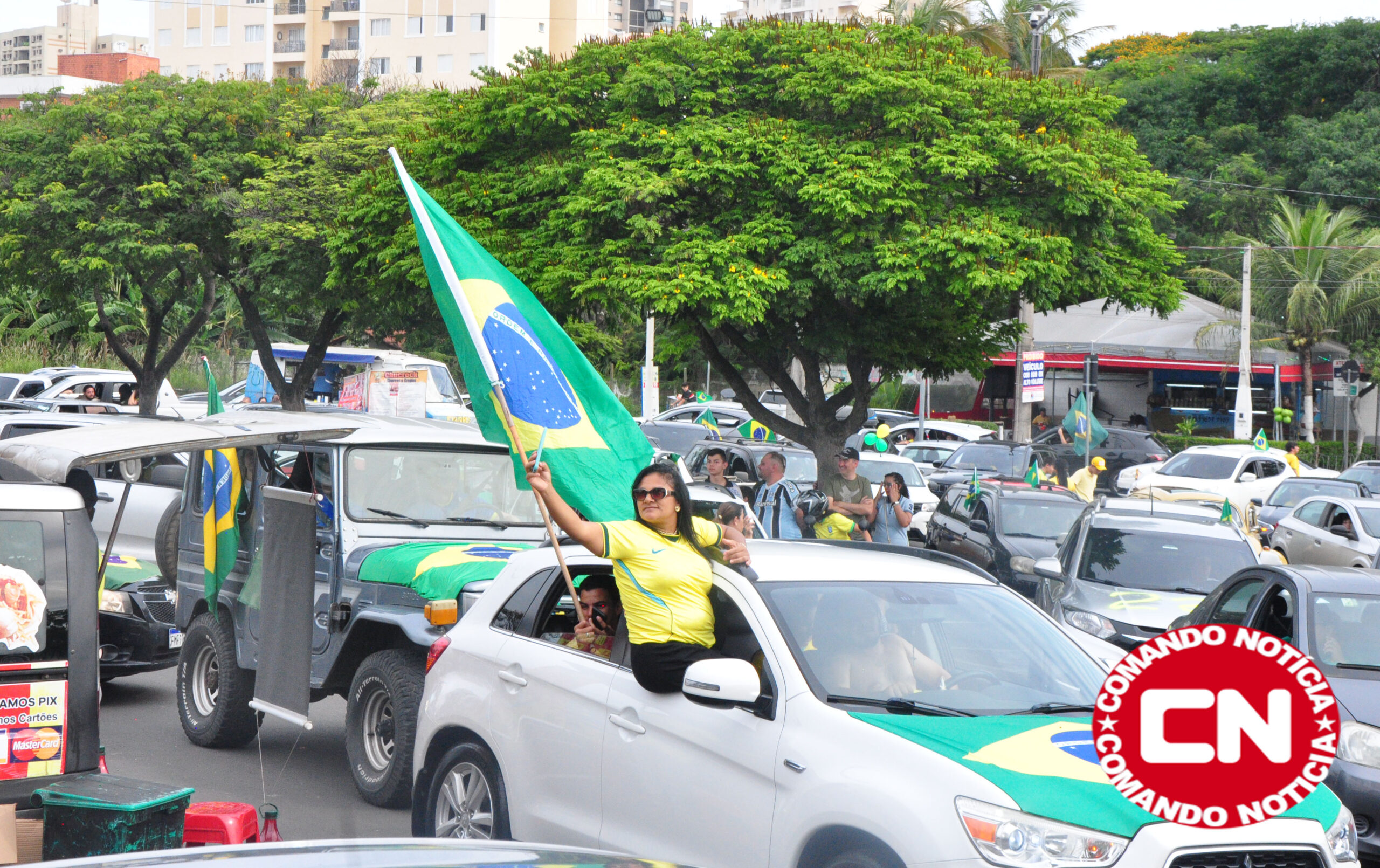 Carreata flavio