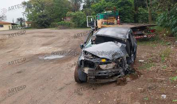 Fatal araras 1
