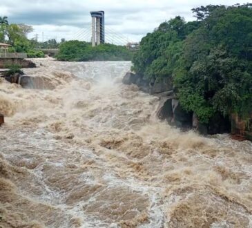 Marcio esquerdo rio salto