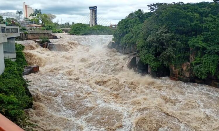 Marcio esquerdo rio salto