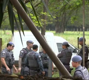 Morte haras campinas