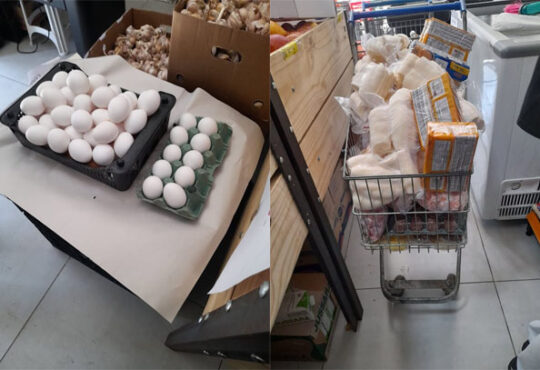 Ovos e mercadorias apreendidas mercado jd alice
