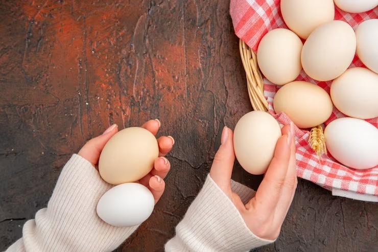 Ovos magnific