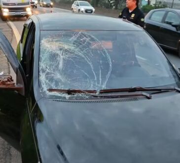 Romeiros atropelados na dutra