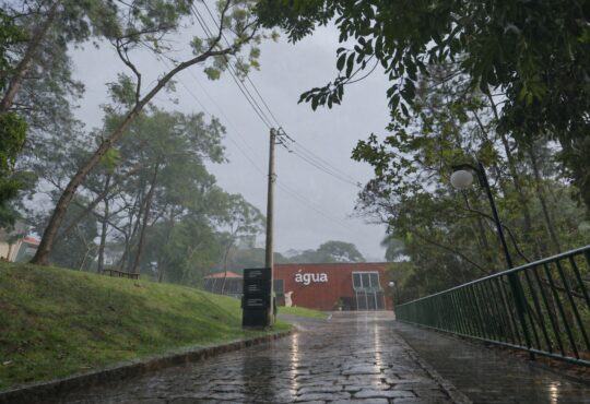 Saae chuva