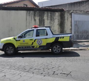 Transito demutran