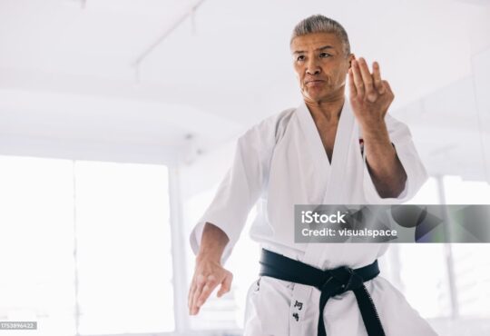 Istockphoto karate